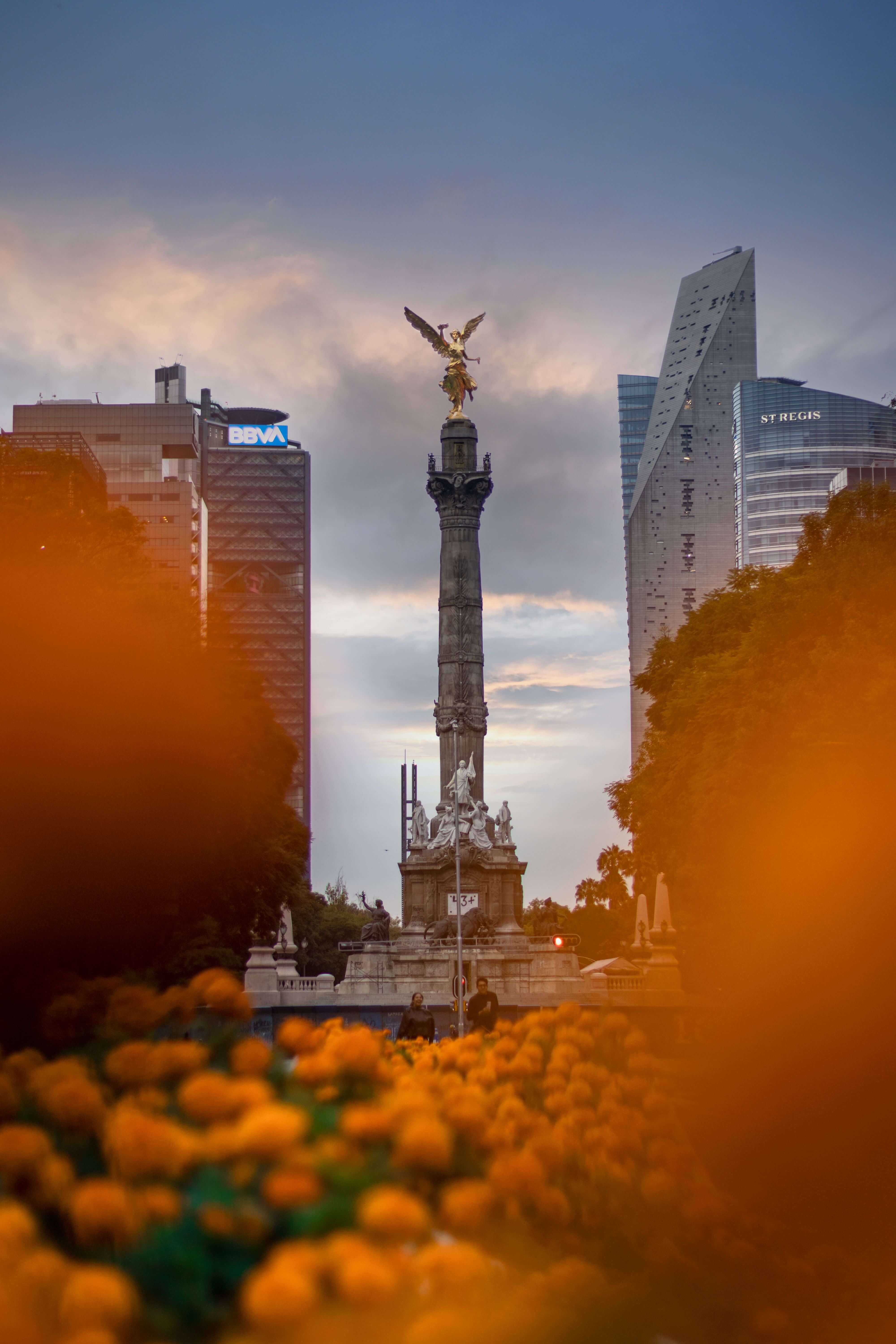 Vista de la Ciudad de México con su arquitectura e historia