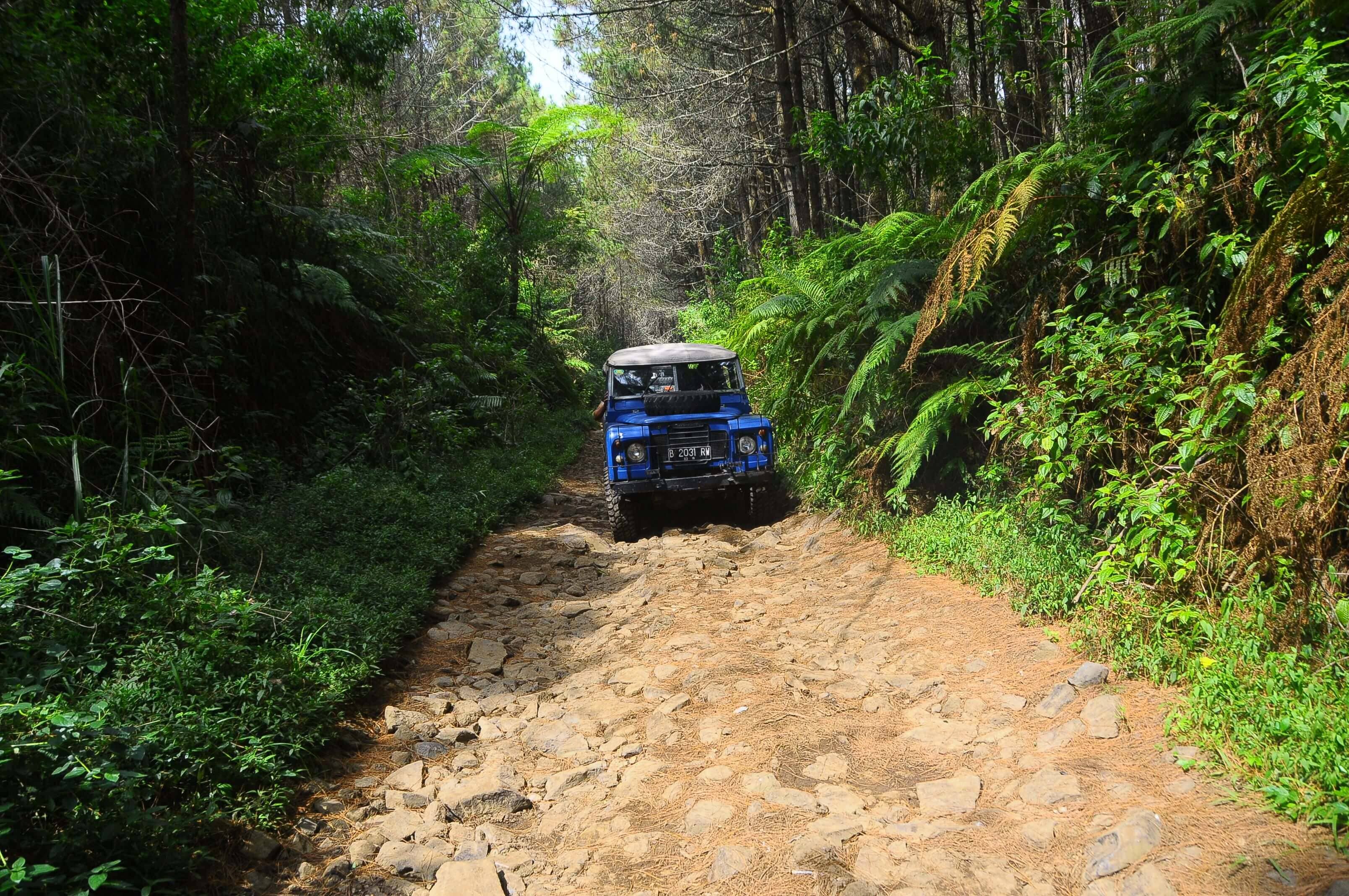 Excursionista frente a un paisaje de montaña