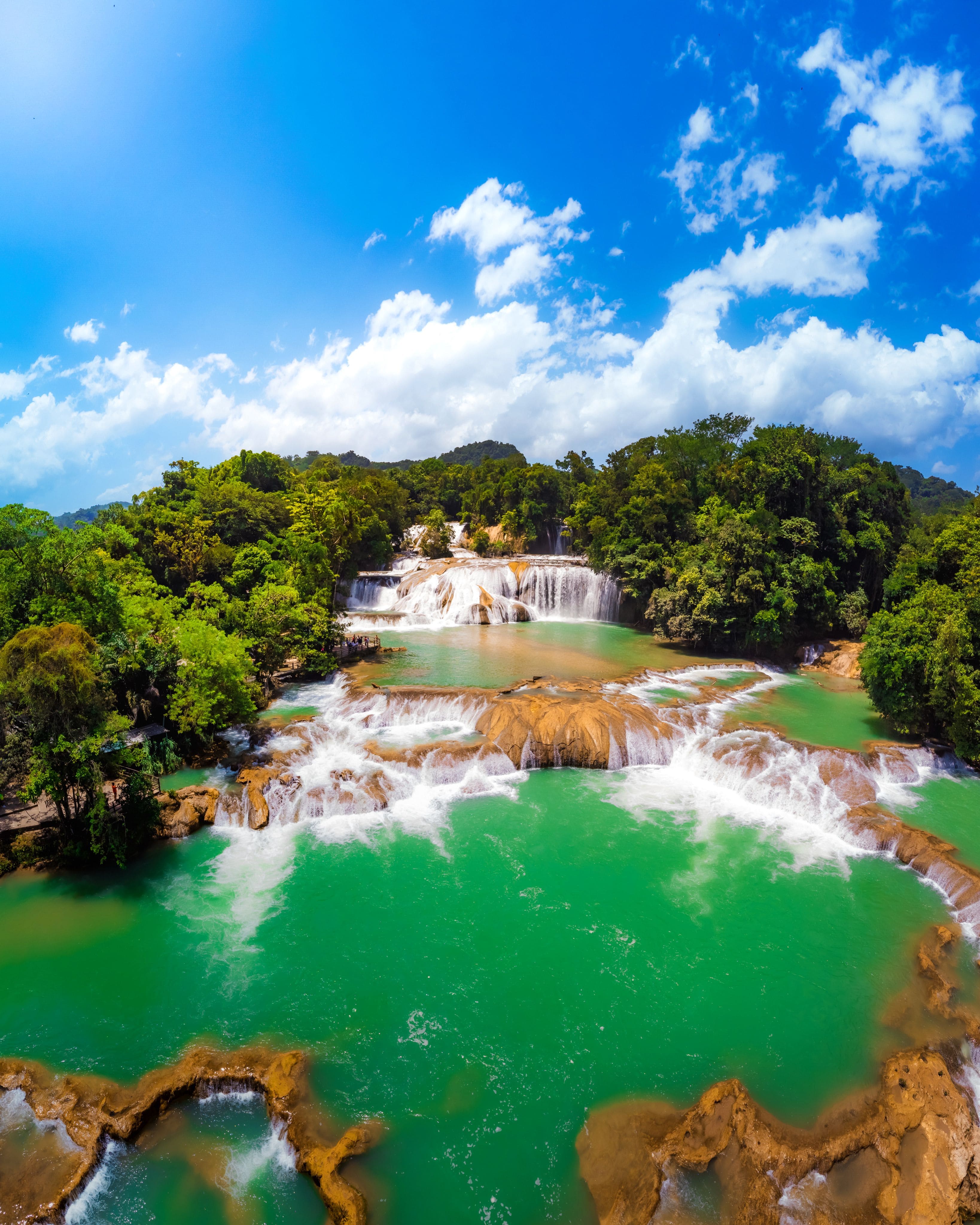 Selva y cultura maya en Chiapas