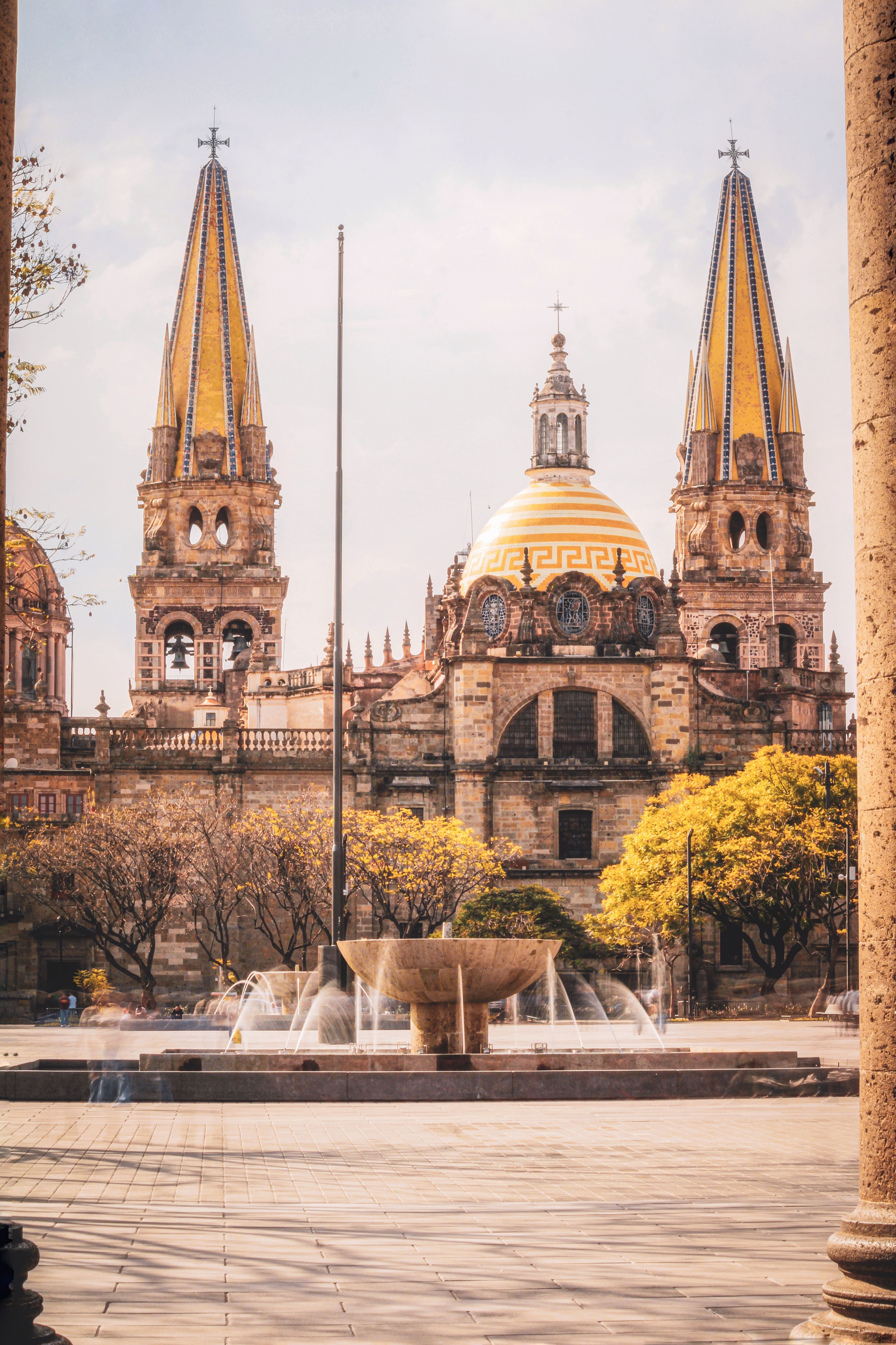 Paisaje de agaves y tradición en Jalisco